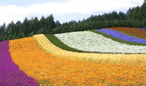 201411111112072206.jpg 201411111112072206.jpg